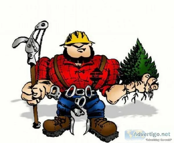Clear you&rsquore lot to make that Sale - Tree Service