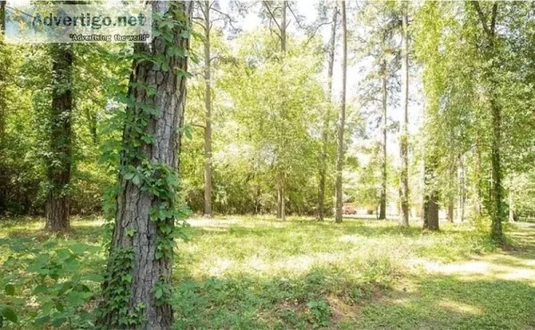 2 pristine lots in a Lakeside Community - 0 Dogwood Trl Lot 28 a