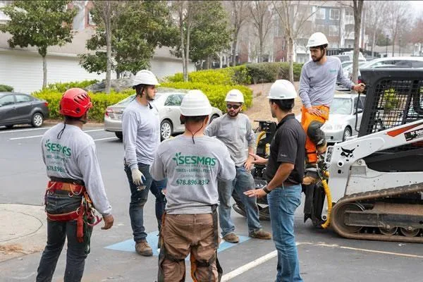 Tree Service Alpharetta