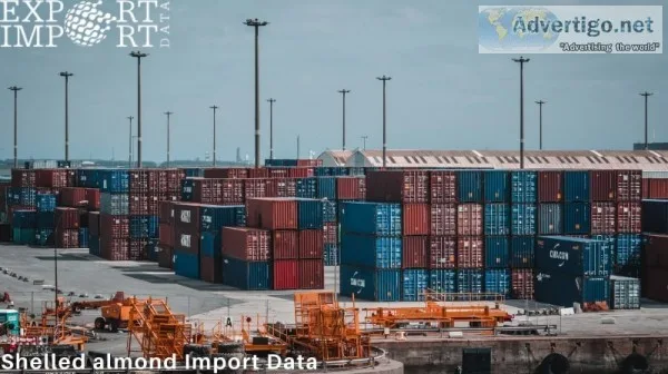 100% updated and genuine shelled almond import data