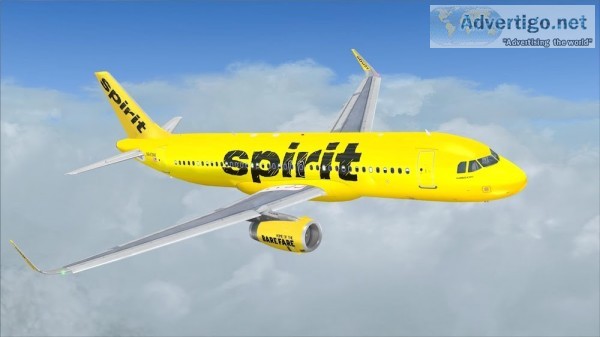 How do i talk to a live person at spirit airlines