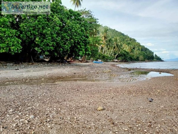 Samal island beachline property 4706 sq m only priced at 18m pes