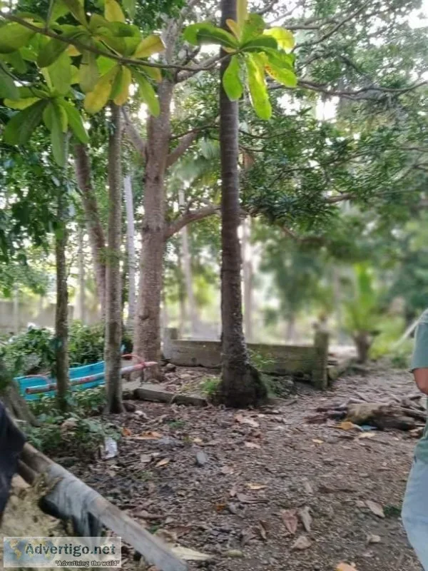 Samal island beachline property 4706 sq m only priced at 18m pes