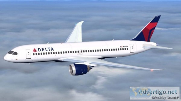 Delta airlines baggage policy