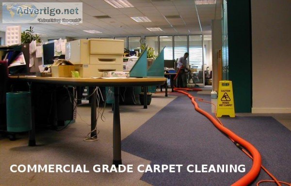 Carpet Cleaning Ryde