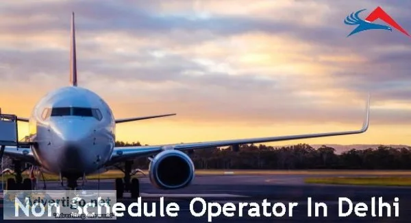 nonscheduled operators in Delhi