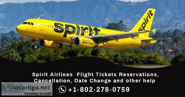 How do i talk to a live person at spirit airlines