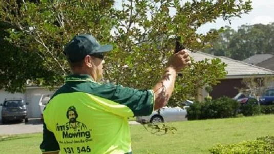 Lawn Mowing Wyndhan Vale