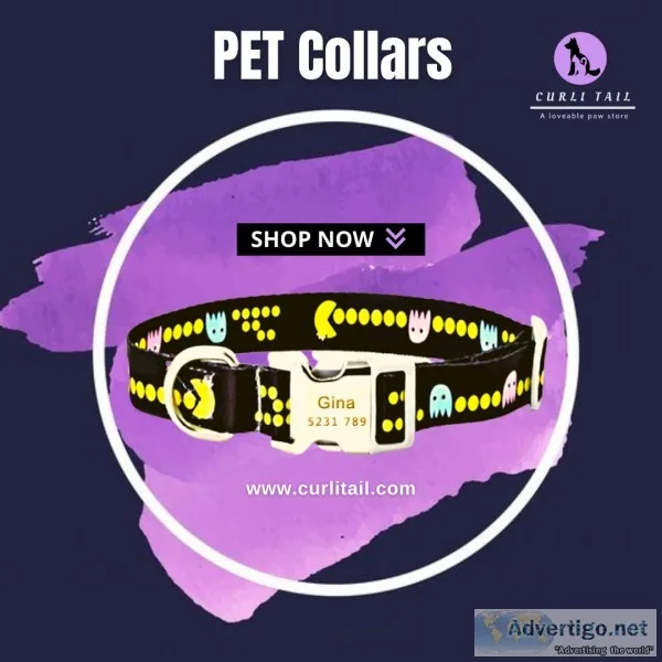 Buy Pet Accessories Dog Harness and Leash set