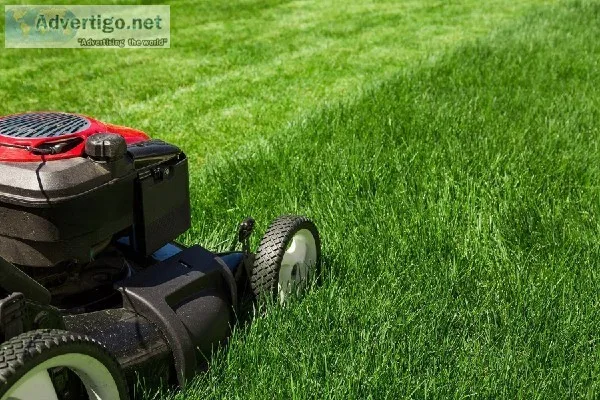 Lawn care Service in Muskegon Michigan
