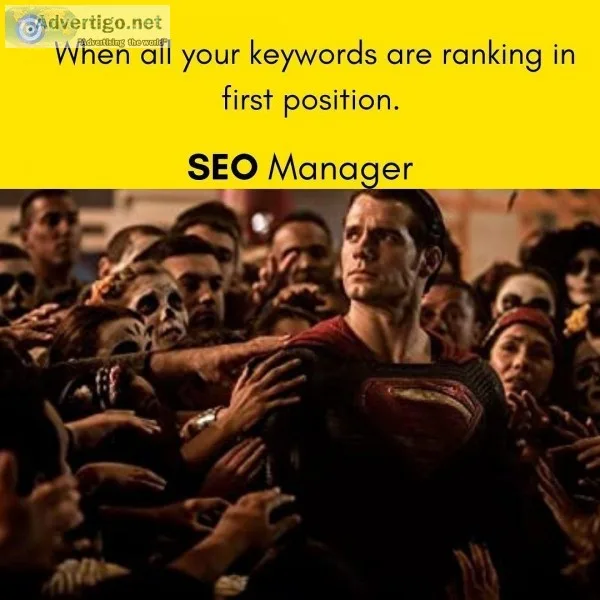 Digital Marketing Agency  Top SEO Agency  SEO Services - DigiDar