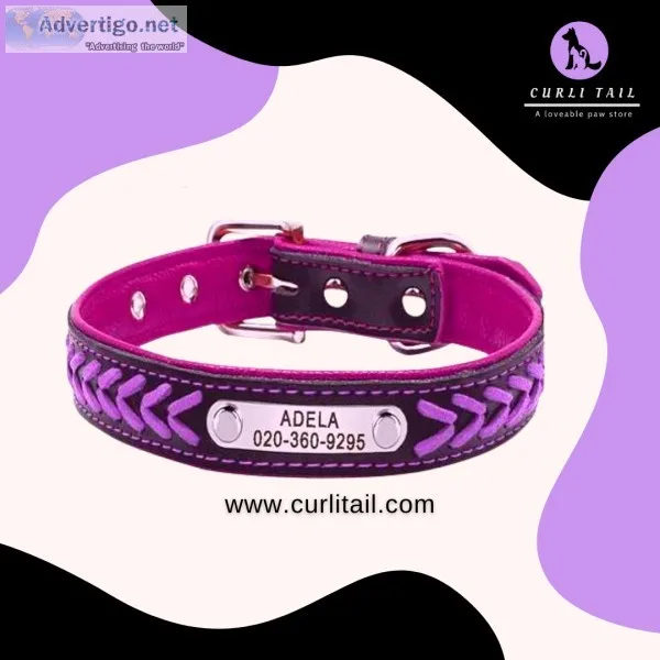 pet accessories  Buy pet accessories