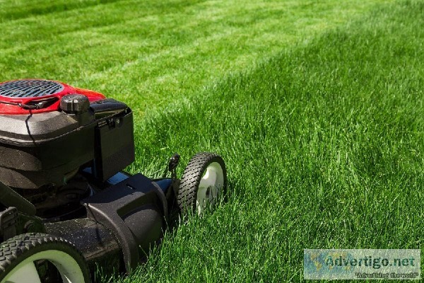 Lawn care Service in Muskegon Michigan
