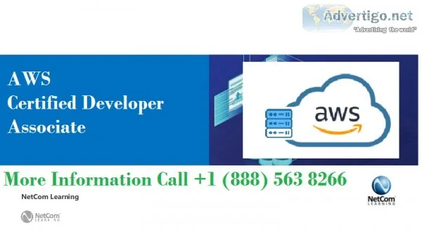 Career Guide and Future Goals with AWS Developer Associate Certi