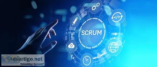 Csm certification training online