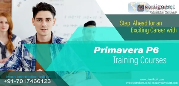 Primavera p6 training in delhi
