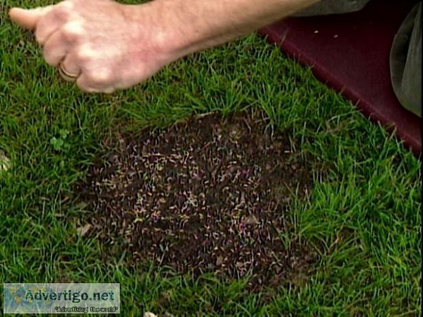 lawn fertilizer Winnipeg
