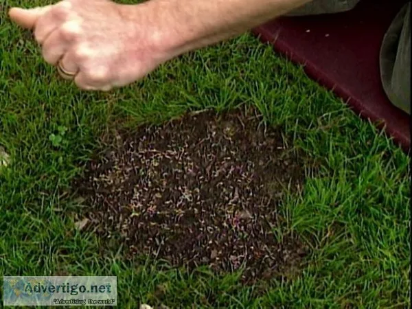 lawn fertilizer Winnipeg