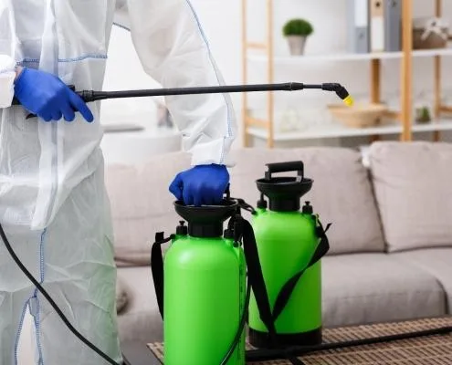 Restoration Water Damage Company Gold Coast  Southqldrestoration