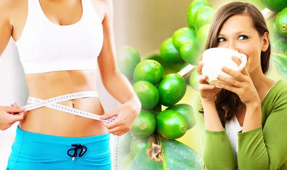 Green coffee beans