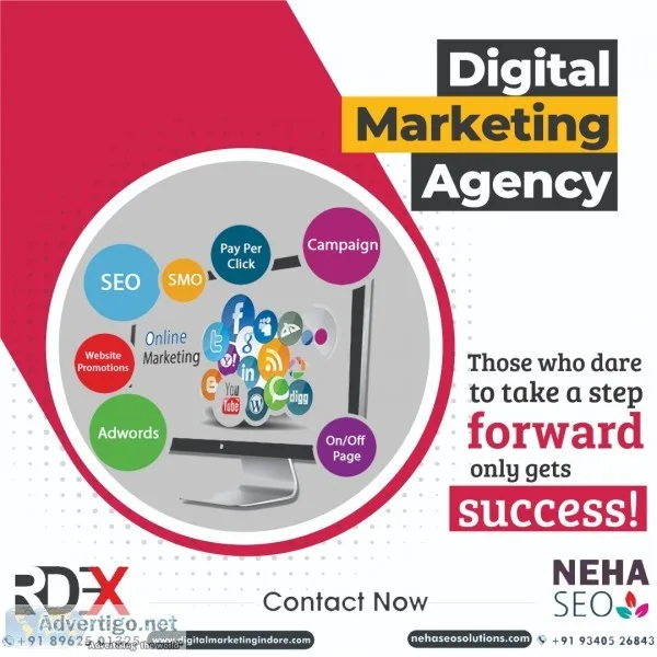 Web development company in indore | reliable digital expert