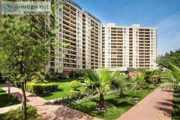 central park 1 for rent in gurgaon  3 4 bhk luxury apartments on