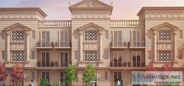 Signature global floors 37d gurgaon