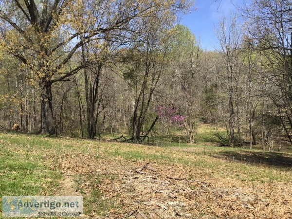 Waterfront Land Available in Cadiz Ky