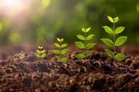 Agro chemical products for sale