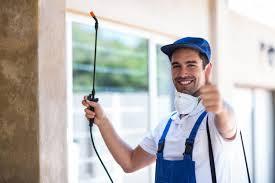 An affordable Pest control Bromley