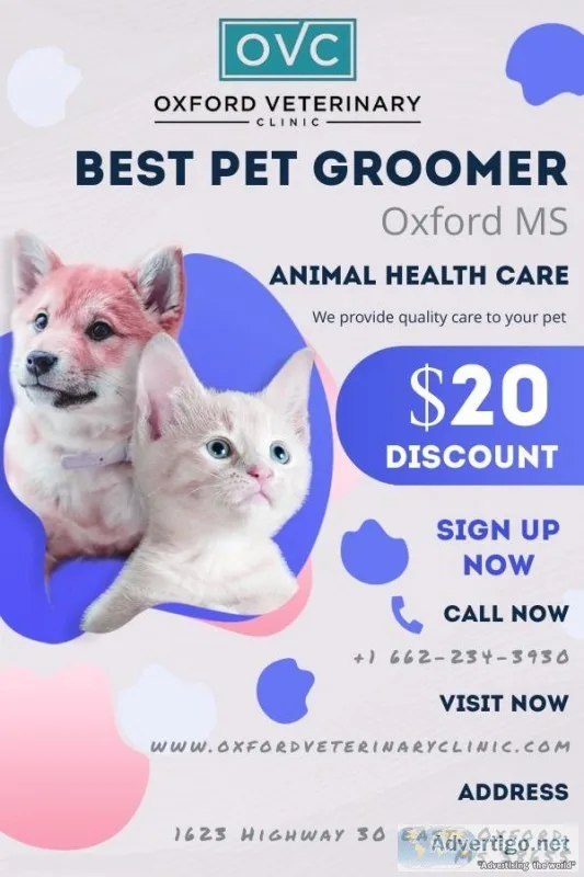 Best Pet Groomer in Oxford MS  Veterinary Clinic