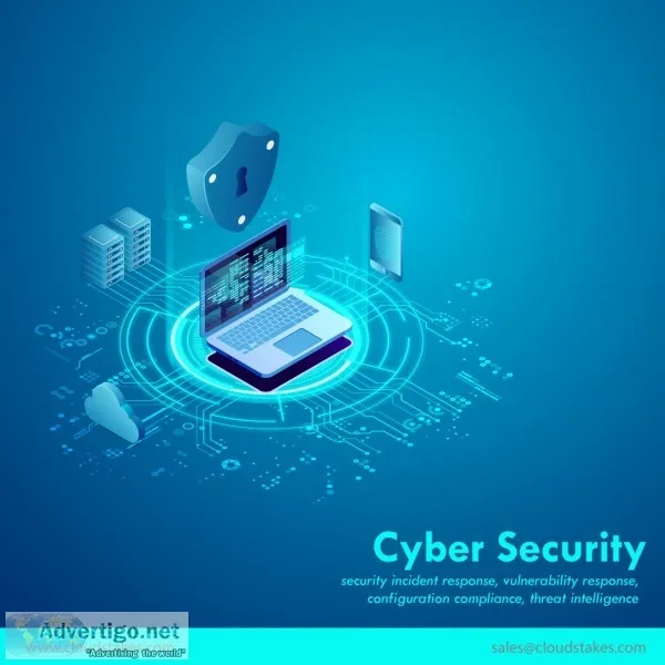 Cyber Security and Network Security services in India