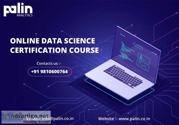 Online course from home | data science training: palin analytics