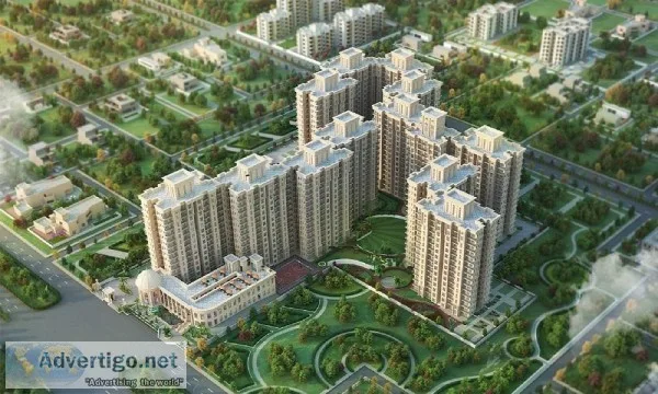 Signature Global Floors
