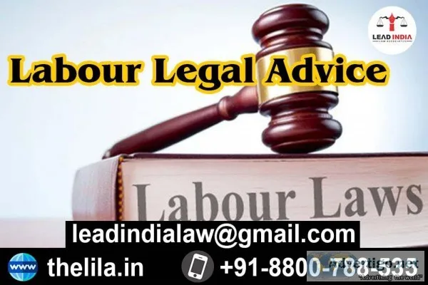 Labour Legal Advice - Lead India law associates