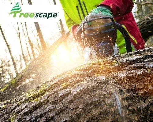 Arborist