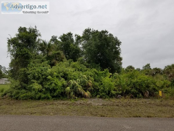 Half Acre Residential Lot in SW Florida