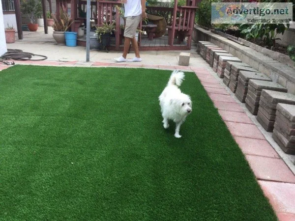 Artificial Grass for Dogs