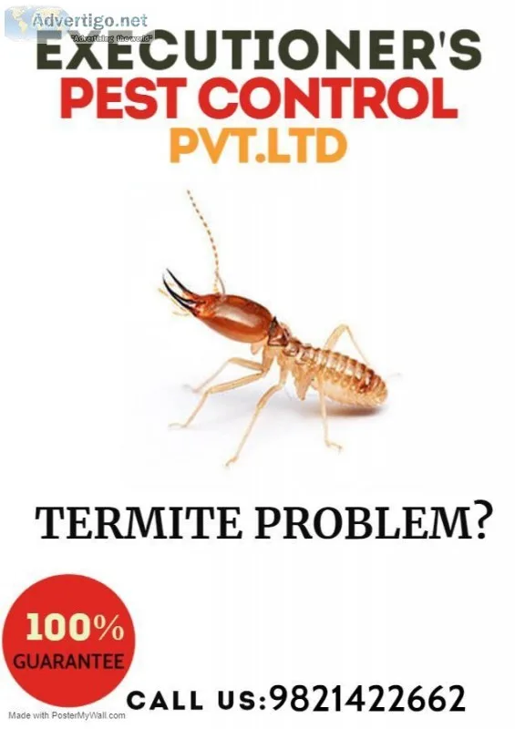 Pest control services in andheri