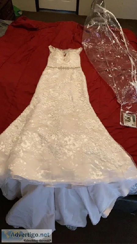 Casablanca Bridal - Celebrate Forever Wedding Dress
