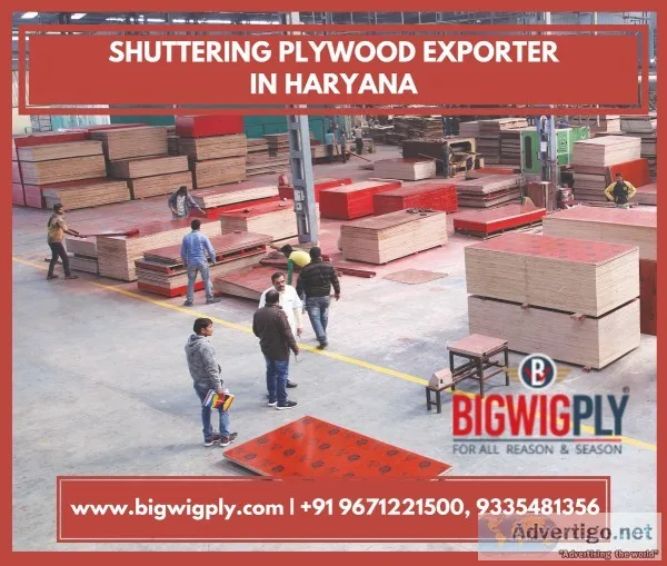 Shuttering Plywood Exporter in Haryana &ndash BIGWIG