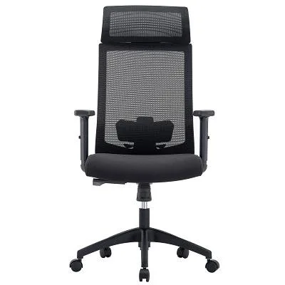 Buy Euro Style Newton High Back Black Office Chair  Office Chair