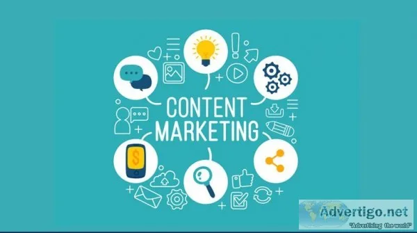 Video Content Marketing Service in Delhi  Video Content  Wondact