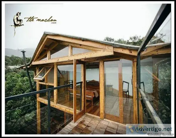 Live In The Middle Of A Rain Forest On 45 Feet Tall Treehouses