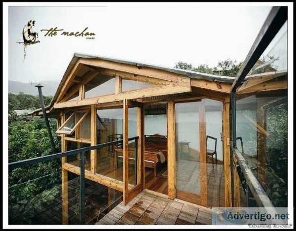 Live In The Middle Of A Rain Forest On 45 Feet Tall Treehouses