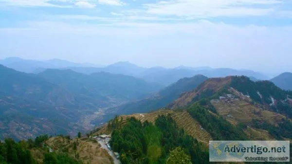 Drive Inn Dhanaulti Accommodation  Family Outing in Dhanaulti