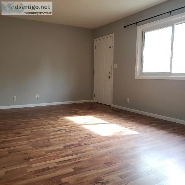 Newly Remodeled 4BR 2BA Near UNL Campuses