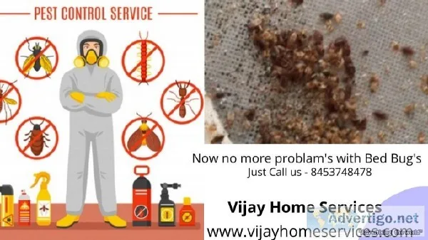 Pest Control Service  from Vijya Home Services