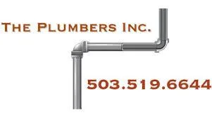 Professional Plumbing Services
