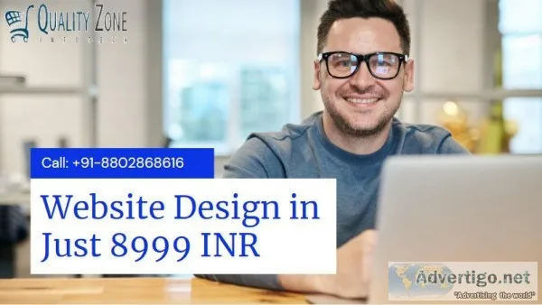 Professional Web Developer Solutions